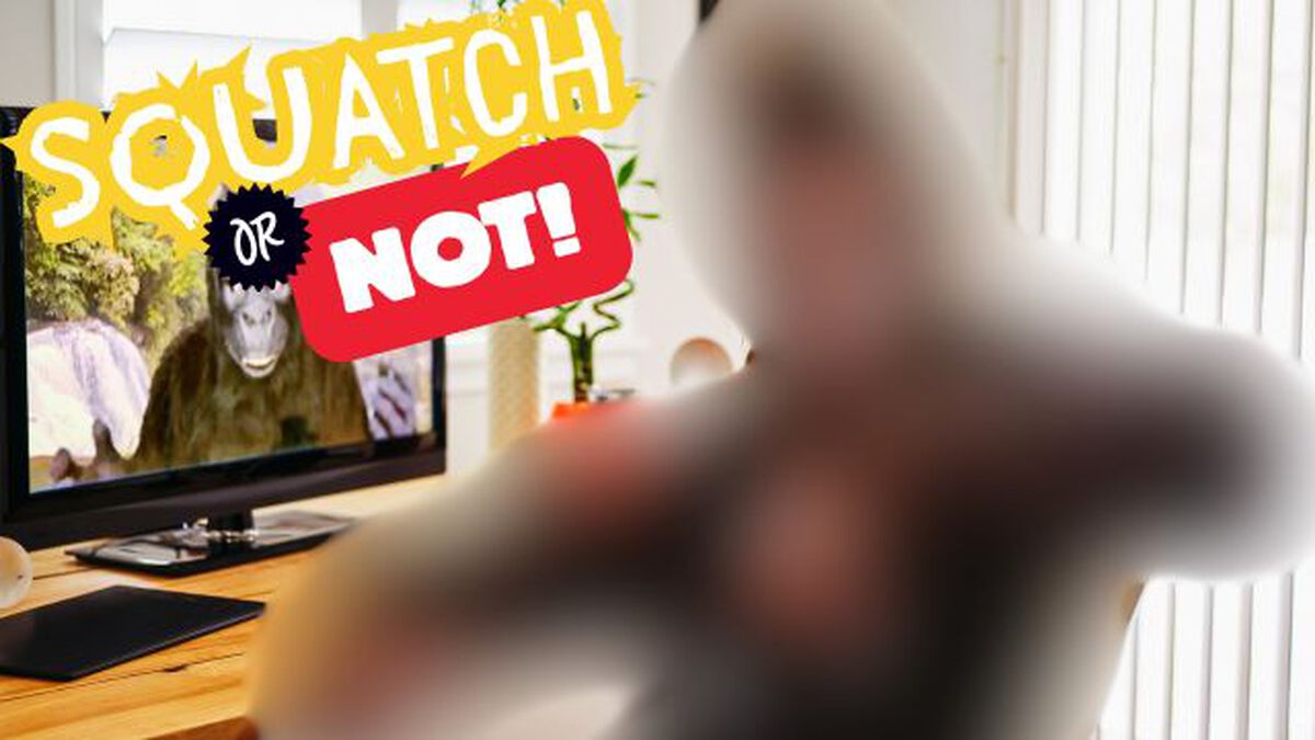 Squatch or Not image number null